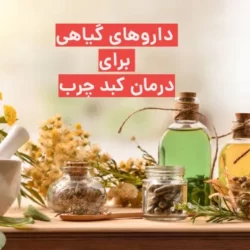 بهترین داروی گیاهی برای کبد چرب