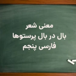 معنی شعر بال در بال پرستوها فارسی پایه پنجم
