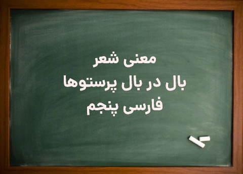 معنی شعر بال در بال پرستوها فارسی پایه پنجم