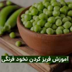 روش فريز كردن نخود فرنگي