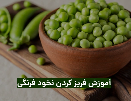 روش فريز كردن نخود فرنگي
