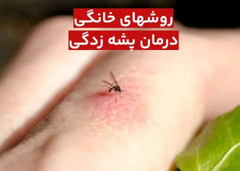 درمان پشه زدگی با روشهای خانگی