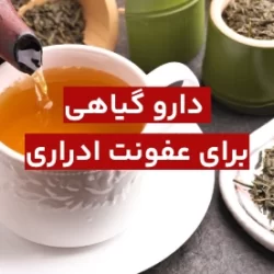 دارو گیاهی برای عفونت ادراری + درمان عفونت ادراری در خانه