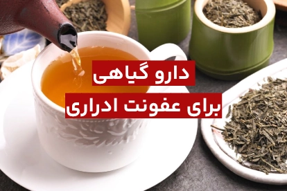 دارو گیاهی برای عفونت ادراری + درمان عفونت ادراری در خانه