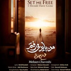 دانلود آهنگ جدید محسن چاوشی من باید میرفتم + متن اهنگ