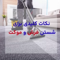 نکات کلیدی برای شستن فرش و موکت