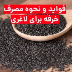 نحوه مصرف خرفه برای لاغری