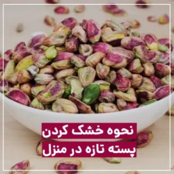 روش خشك كردن پسته تازه در منزل