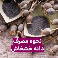 نحوه مصرف دانه خشخاش + فواید و عوارض دانه خاش خاش