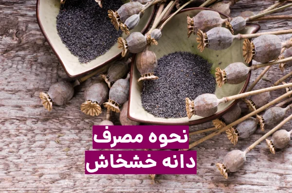 نحوه مصرف دانه خشخاش + فواید و عوارض دانه خاش خاش