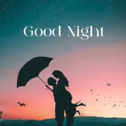 پیام شب بخیر به عشق+ جملات شب بخیر به همسر و عشقم