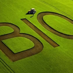 جملات کوتاه انگلیسی برای بیو +  متن انگلیسی برای bio اینستاگرام