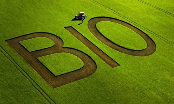 جملات کوتاه انگلیسی برای بیو +  متن انگلیسی برای bio اینستاگرام