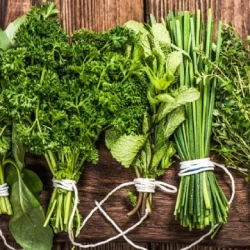 روش کاشت سبزی خوردن در زمین کشاورزی
