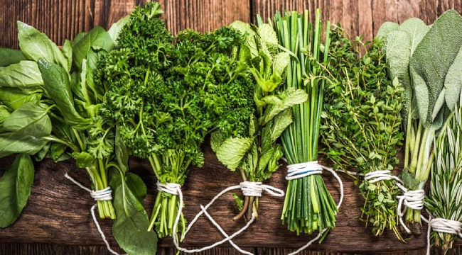 روش کاشت سبزی خوردن در زمین کشاورزی