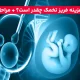 هزینه فریز تخمک در سال ۱۴۰۳ + مراحل