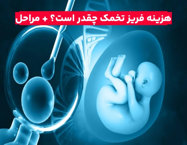 هزینه فریز تخمک در سال ۱۴۰۳ + مراحل