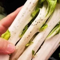 روش پاک کردن کنگر (ساده ترین روش + ارزش غذایی کنگر)