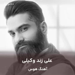 دانلود آهنگ هوس علی زند وکیلی