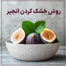 طرز خشک کردن انجیر سیاه و سبز با روش های خانگی
