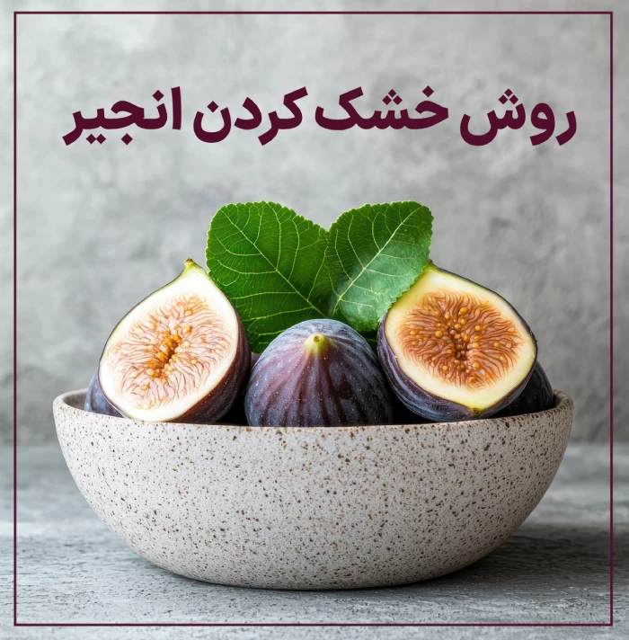 طرز خشک کردن انجیر سیاه و سبز با روش های خانگی