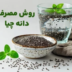 روش مصرف دانه چیا‎ + طریقه مصرف و فواید آن برای لاغری