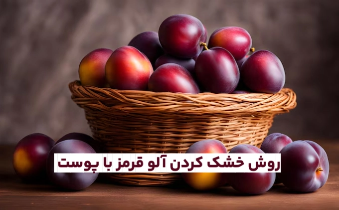 روش خشک كردن آلو قرمز یا آلو شابلون (روشهای خانگی مختلف)