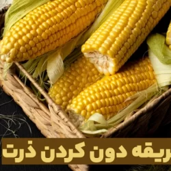 طریقه دون کردن ذرت مثل آب خوردن + فیلم