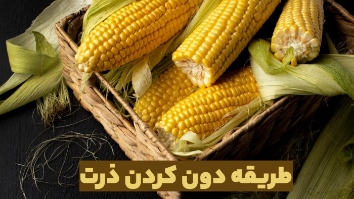 طریقه دون کردن ذرت مثل آب خوردن + فیلم