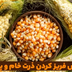 روش فریز کردن ذرت خام و پخته + نحوه دون کردن
