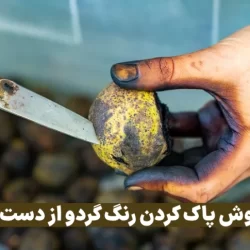 روش پاك كردن رنگ پوست گردو از دست (10 روش خانگی سریع)