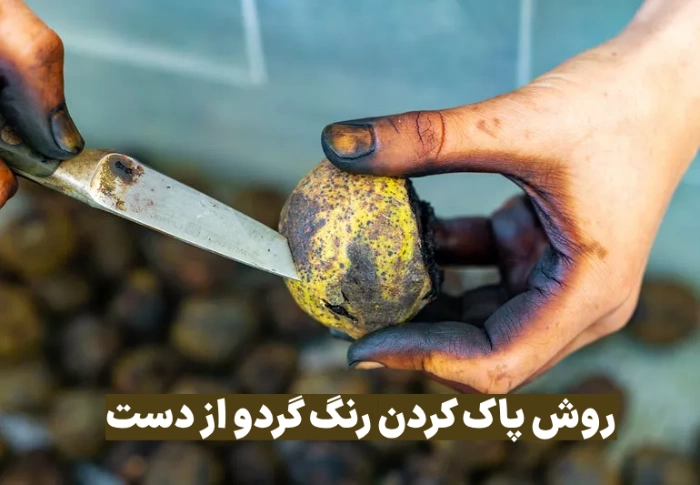 روش پاك كردن رنگ پوست گردو از دست (10 روش خانگی سریع)