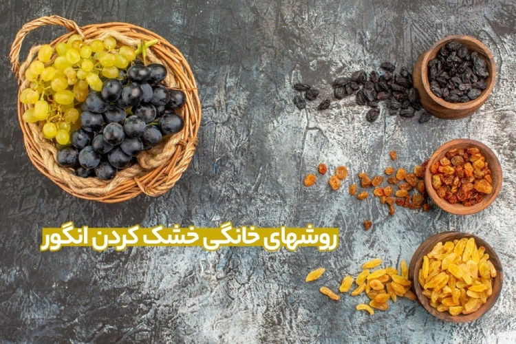 روش خشک کردن انگور در خانه برای تهیه کشمش (5 روش خانگی)