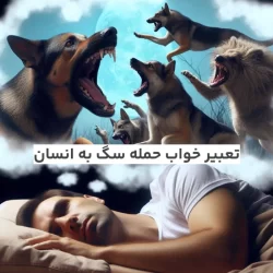تعبیر خواب حمله سگ به انسان چیست (تعبیر معبران مختلف)