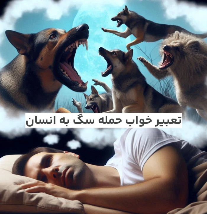 تعبیر خواب حمله سگ به انسان چیست (تعبیر معبران مختلف)