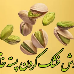 روش خشک کردن پسته خام با 5 روش خانگی حرفه ای