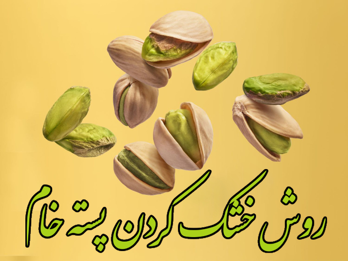روش خشک کردن پسته خام با 5 روش خانگی حرفه ای