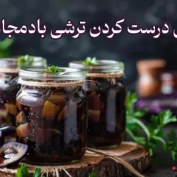 روش درست كردن ترشي بادمجان شکم پر، مخلوط و معمولی