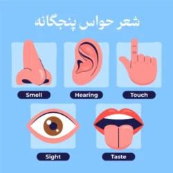 شعر حواس پنجگانه پیش دبستانی (کلیپ + متن شعر)