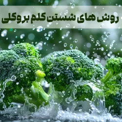 نحوه شستن کلم بروکلی با سرکه، آب نمک و آب جوش