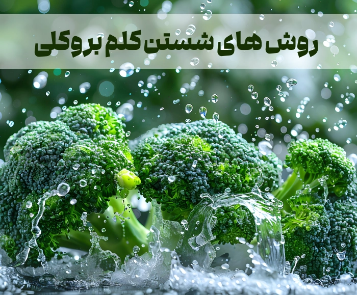 نحوه شستن کلم بروکلی با سرکه، آب نمک و آب جوش