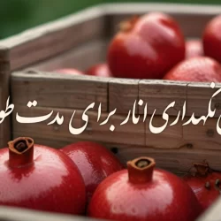 روش نگهداری انار برای مدت طولانی [4 روش خانگی نگهداری انار]