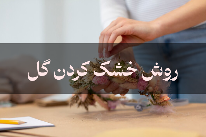 10 روش خشک کردن گل طبیعی بدون تغییر شکل و رنگ