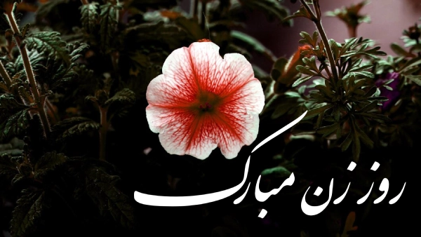 متن تقدیر روز زن + 30 متن لوح تقدیر روز زن با جملات زیبا