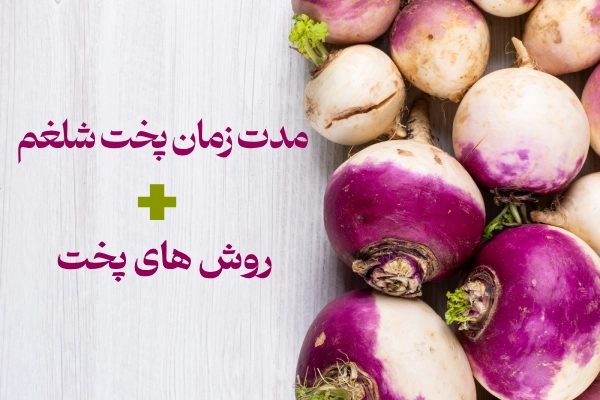 مدت زمان پخت شلغم + انواع روش های پخت شلغم