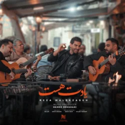 دانلود آهنگ یادت هست رضا ملک زاده