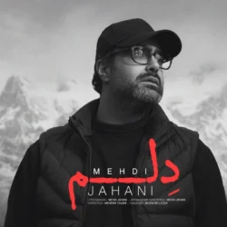 دانلود آهنگ دلم مهدی جهانی