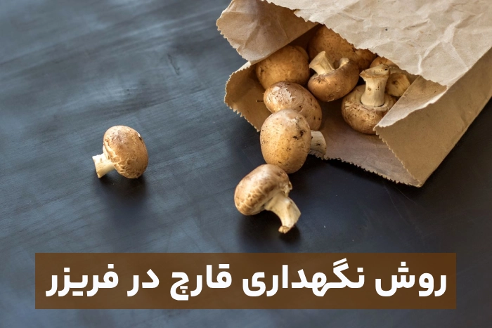 روش نگهداری قارچ در فریزر (روش های نگهداری طولانی مدت قارچ در فریزر)