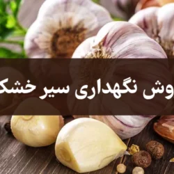 روش نگهداری سیر خشک + نگهداری سیر خشک برای طولانی مدت