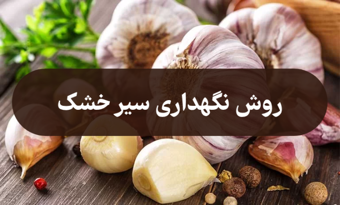 روش نگهداری سیر خشک + نگهداری سیر خشک برای طولانی مدت